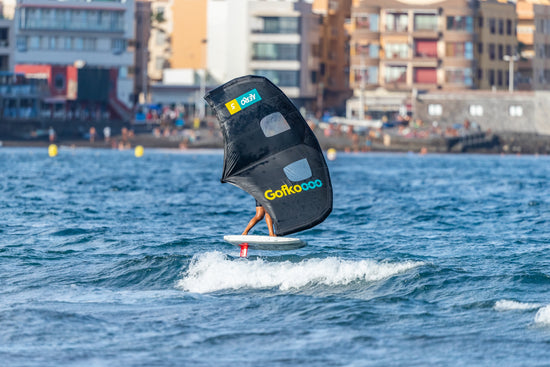 gofko wing surfing wing foiling